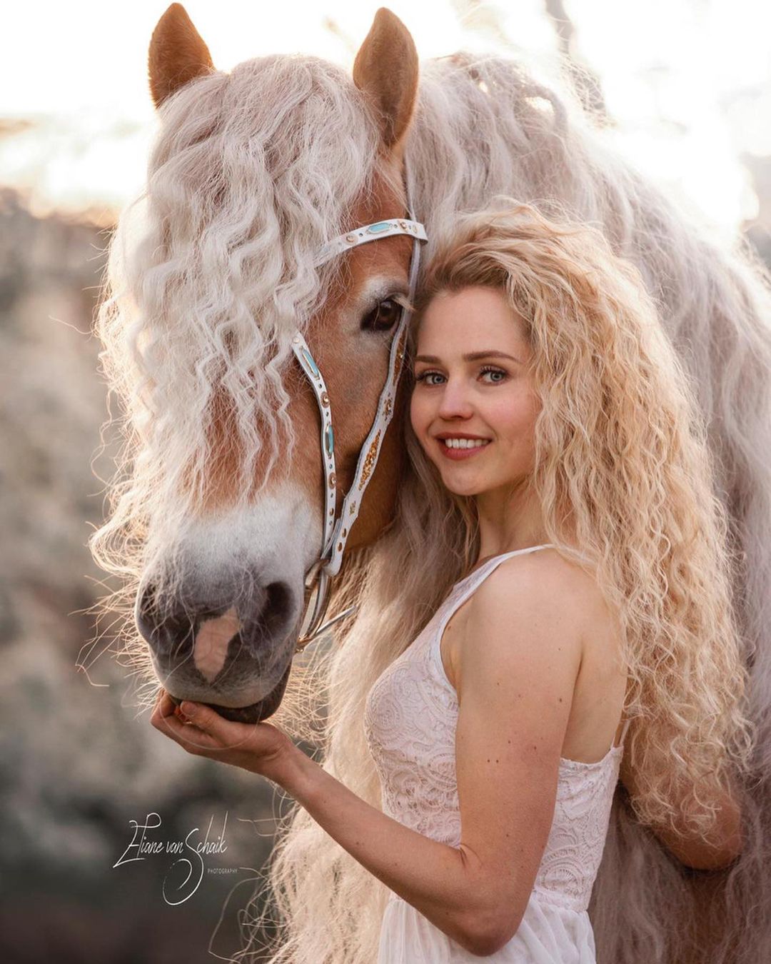 Tangled manes and folklore are two things that come to mind.