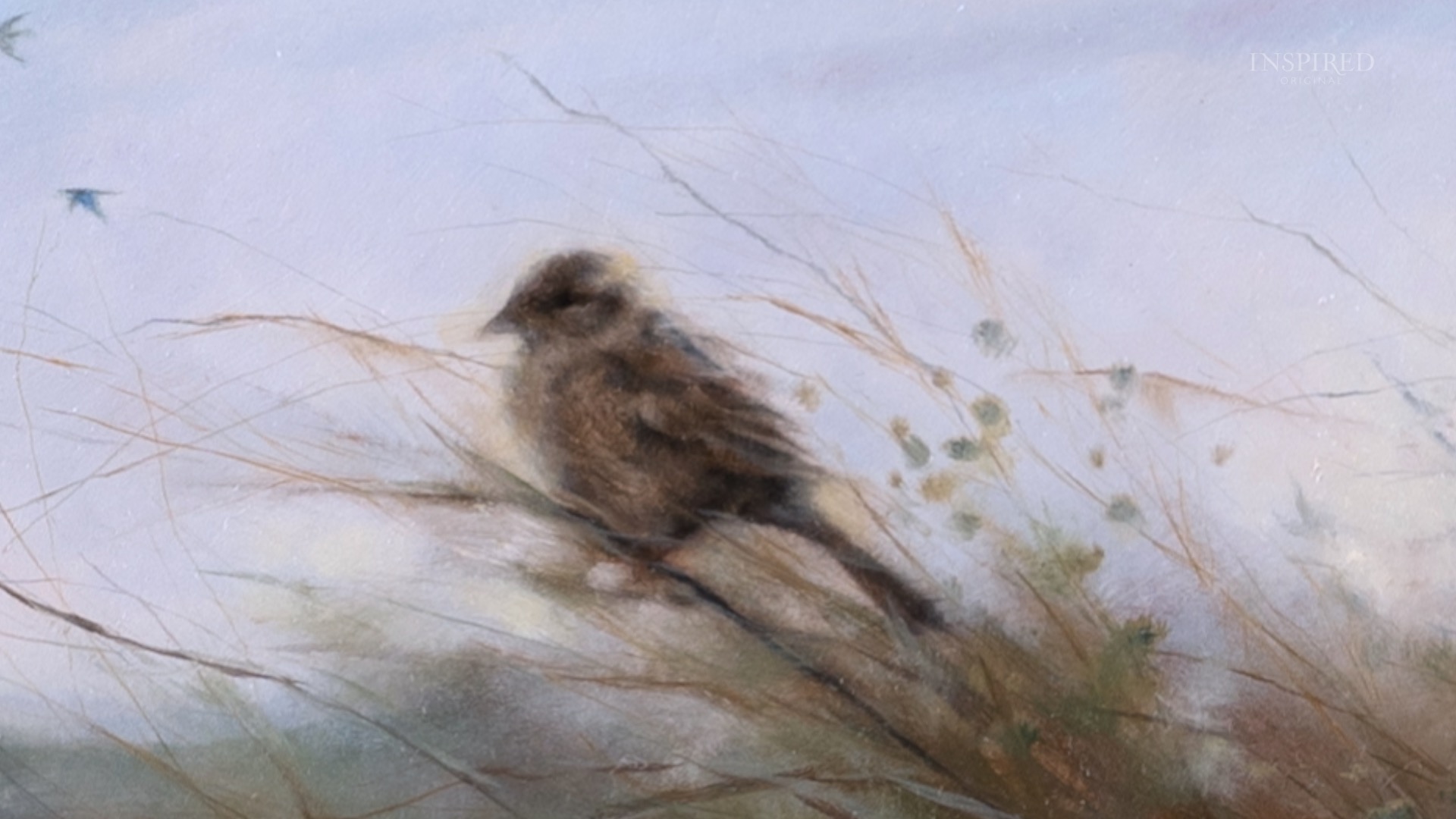 Pure Beauty: 'Birds of the Air, Grass of the Field' - Vimarsana News