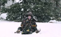 Second Major Snowstorm in a Week Blankets Northeast