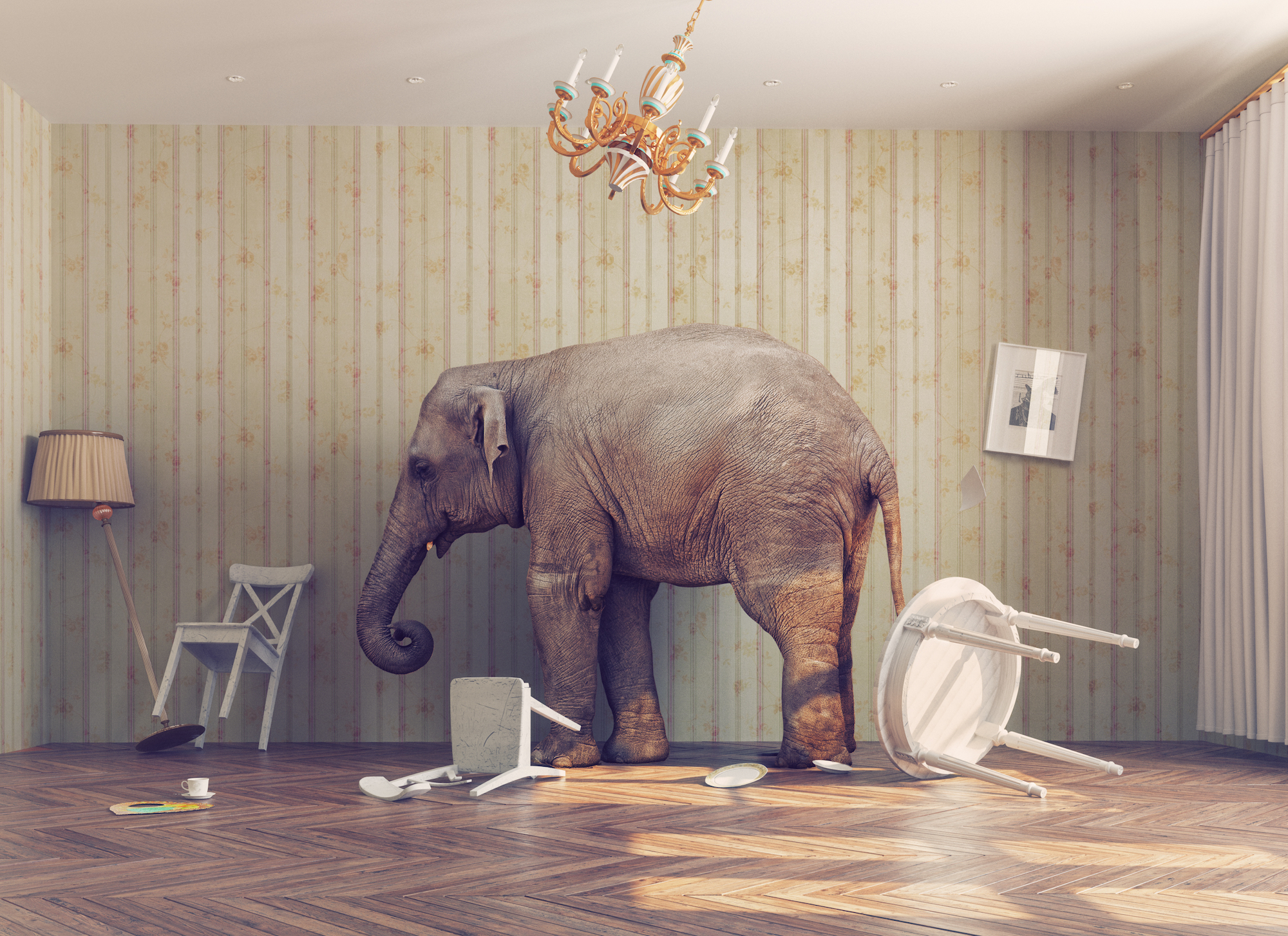 The Elephant in the Room - Vimarsana News