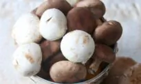 The Magic of Mushrooms
