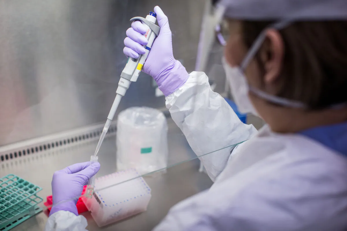 A lab technologist tests a specimen for COVID-19 in Surrey, B.C., in a file photo. (The Canadian Press/Darryl Dyck)