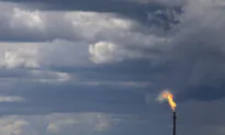 Workers Lament Alberta’s Troubled Resource Sector
