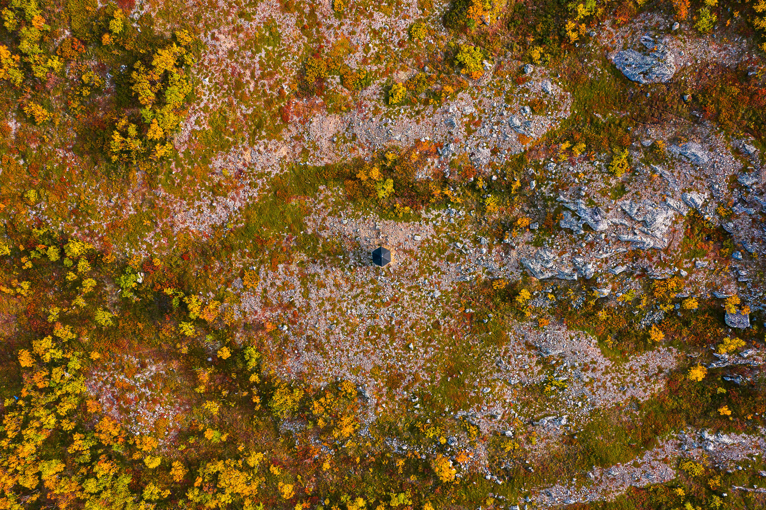 Steve during autumn colors season in September - Rayann Elzein Photography