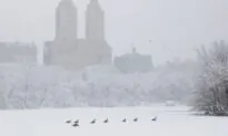Bitter Cold and Ice Storms Forecast for North, Central United States