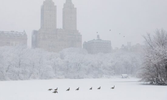 Bitter Cold and Ice Storms Forecast for North, Central United States