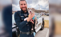 NJ Police Officer Rescues Homeless Wounded Pit Bull Pup and Adopts Him the Same Day