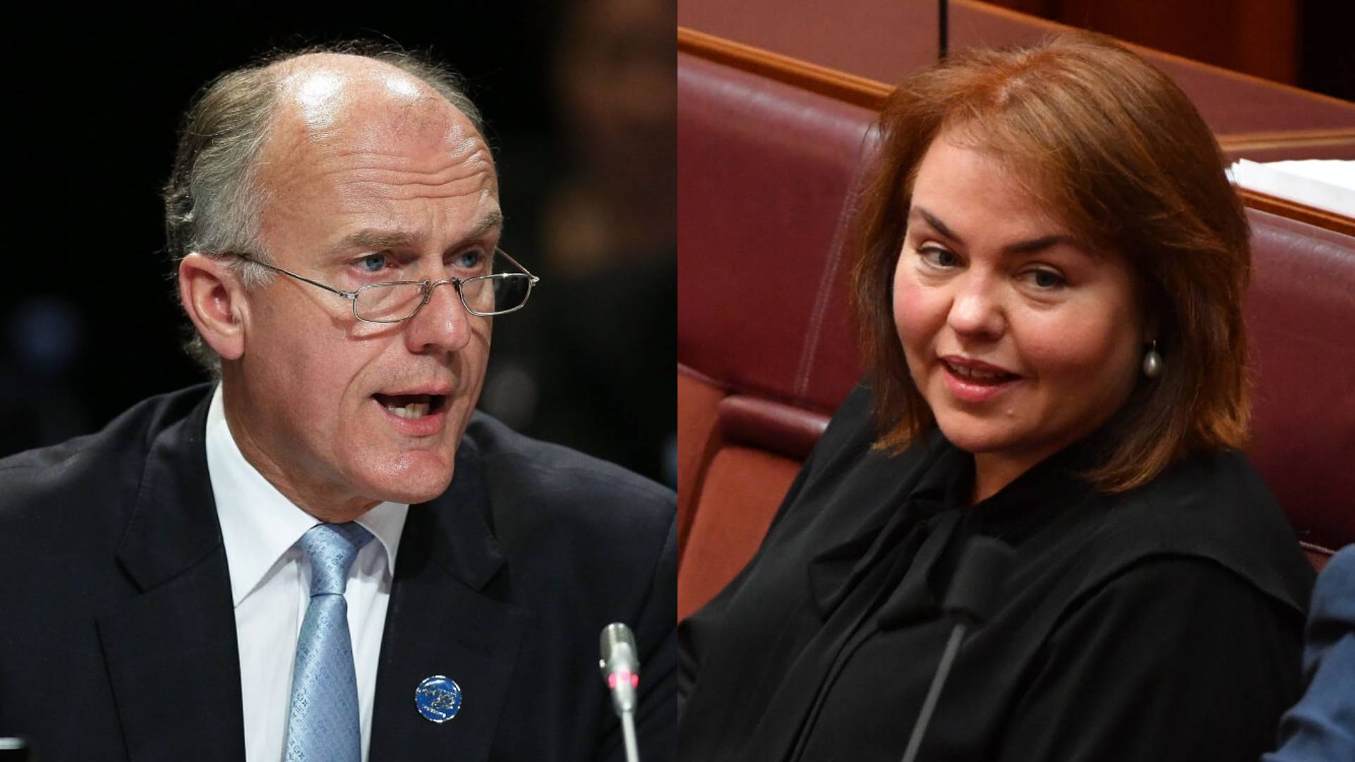 'We Should Thank God' Young People Are 'Confronting' the CCP: Aussie Senators Speak Out After Inquiry - Vimarsana News