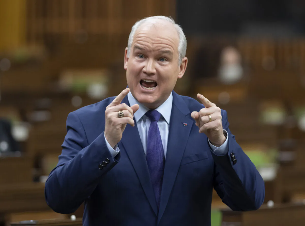 Leader of the Opposition Erin O'Toole rises to question the government during Question Period in the House of Commons in Ottawa on Feb. 2, 2021. (Adrian Wyld/The Canadian Press)