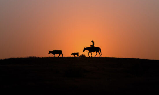 The Nation Speaks (Feb. 13): One Step Closer to Texit; Is Biden Admin Soft on Huawei?; US Grid Vulnerability