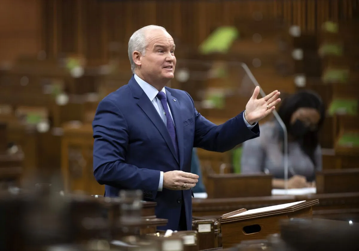 Conservative Leader Erin O'Toole rises during question period in the House of Commons on Feb. 2, 2021. (The Canadian Press/Adrian Wyld)