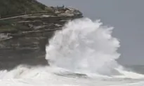 Aussie Fishermen Dead Despite ‘Heroic’ Rescue Effort