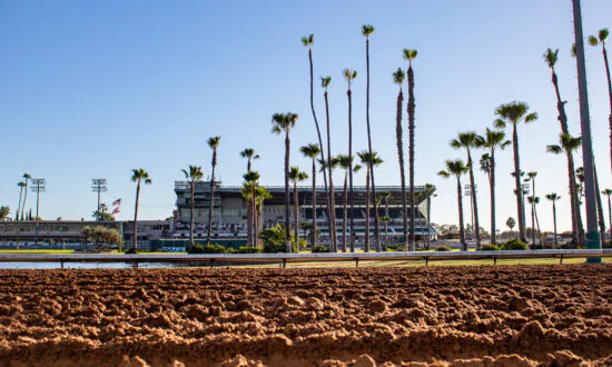 Horse That Survived 2017 Lilac Fire Wins First Race at Los Alamitos