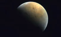 United Arab Emirates Publishes First Photo From Mars Probe