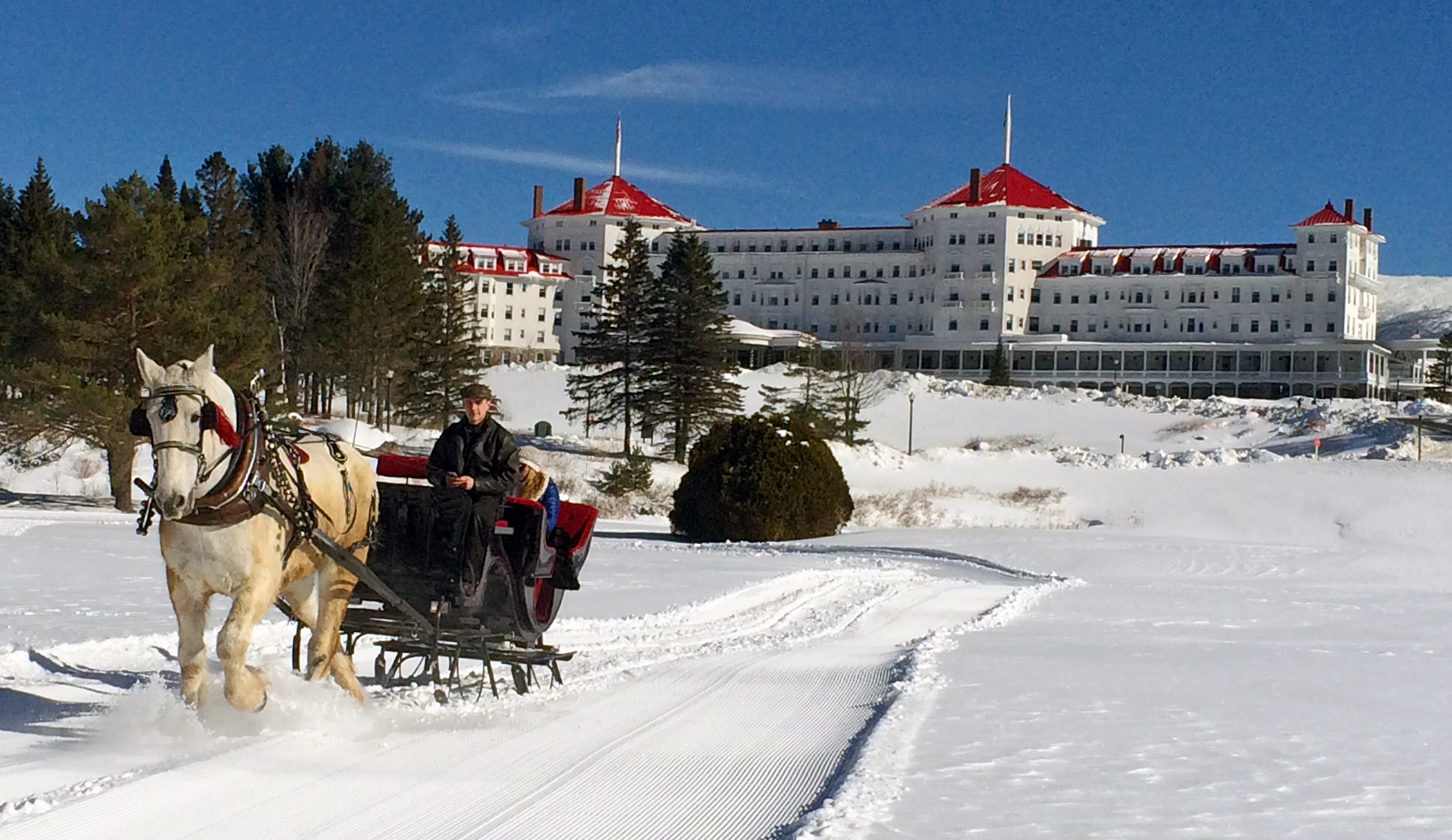 MTWASH-Winter Sleigh Ride - HR