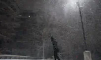 Power Cut Across Texas as Snow, Ice Blanket Southern Plains