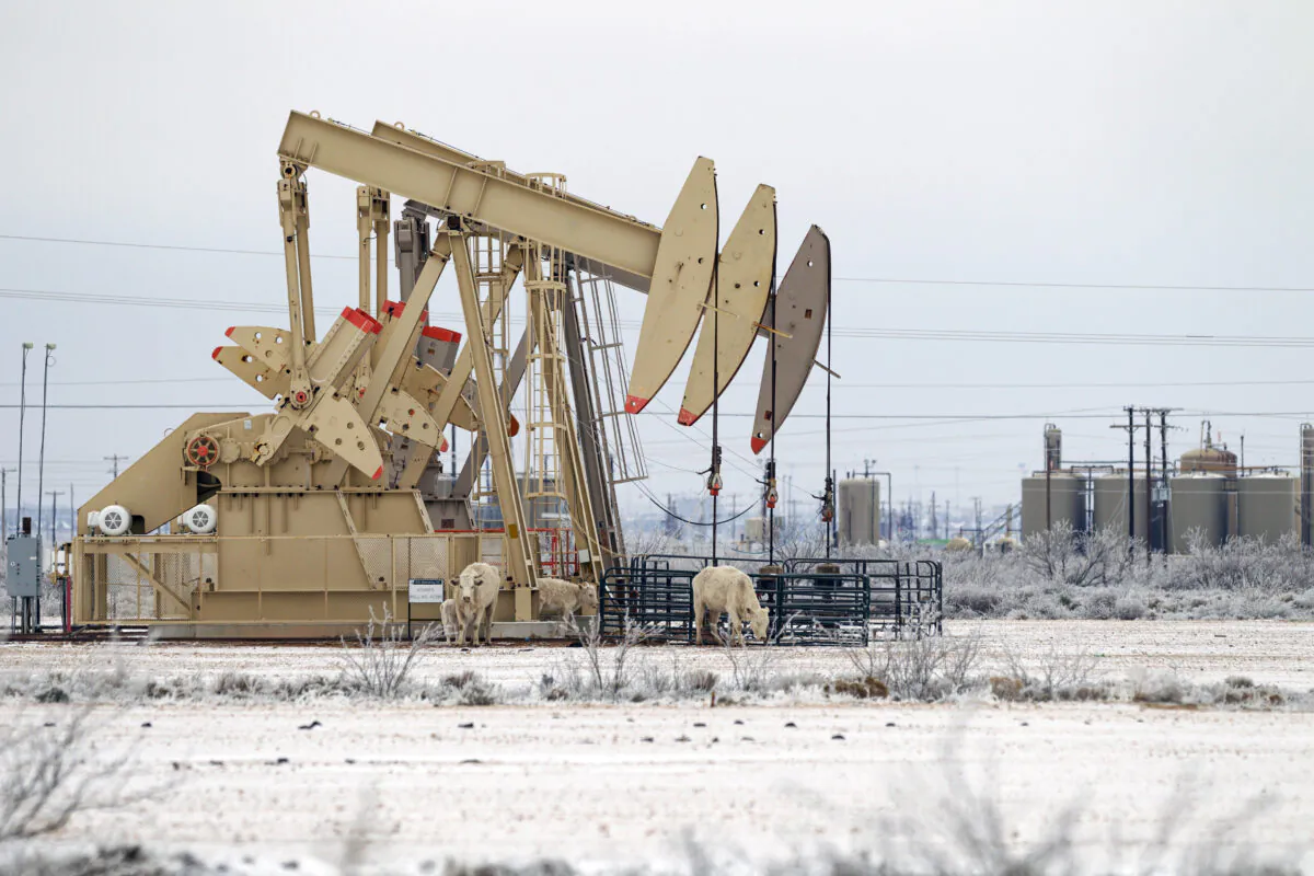 A pump jack array seen in Midland, Texas, on Feb. 13, 2021. (Eli Hartman/Odessa American via AP)