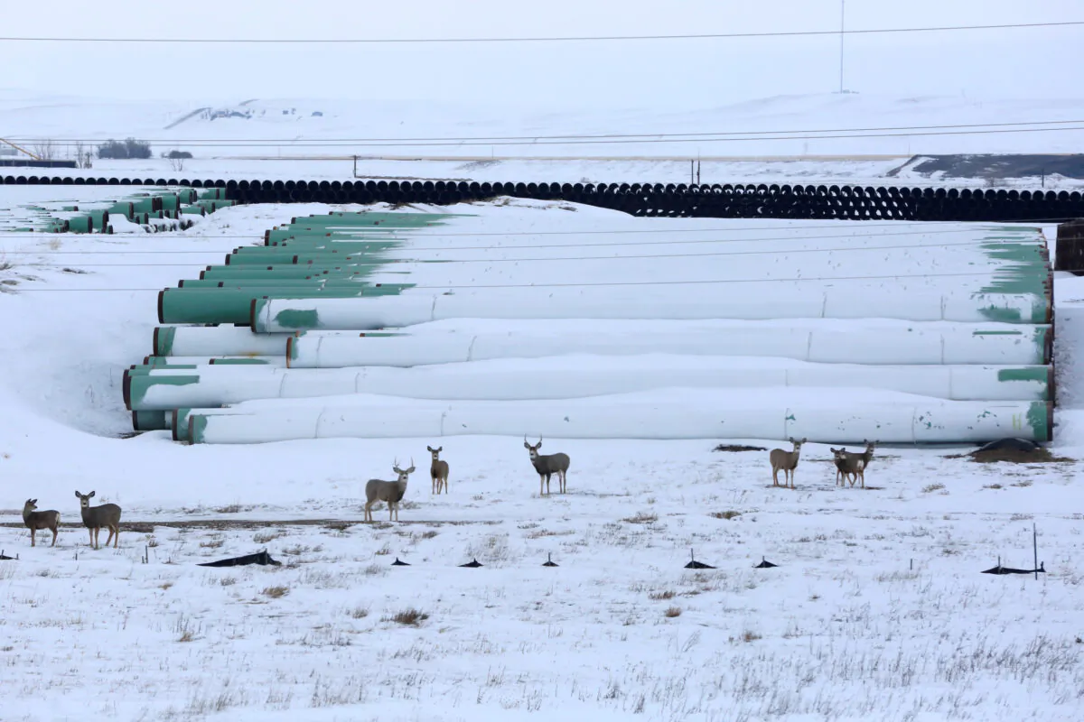 A depot used to store pipes for TC Energy Corp's planned Keystone XL oil pipeline is seen in Gascoyne, N.D., on Jan. 25, 2017. (Terray Sylvester/Reuters)