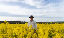 Australian Winter Crop Expected to Enter Record Books