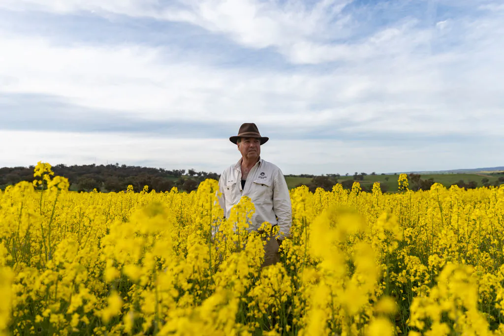Farmer stands in front of Canola farm.
Brook Mitchell/Getty Images