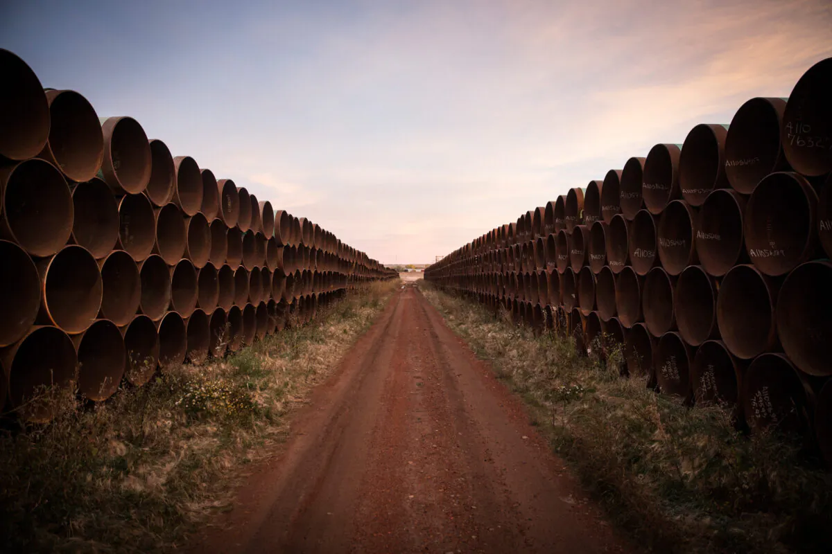 Miles of unused pipe, prepared for the Keystone XL pipeline, sit in a lot outside Gascoyne, N.D., on Oct. 14, 2014. (Andrew Burton/Getty Images)