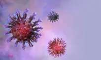 Is the Lab-Made ‘80 Percent Lethality’ COVID Real?