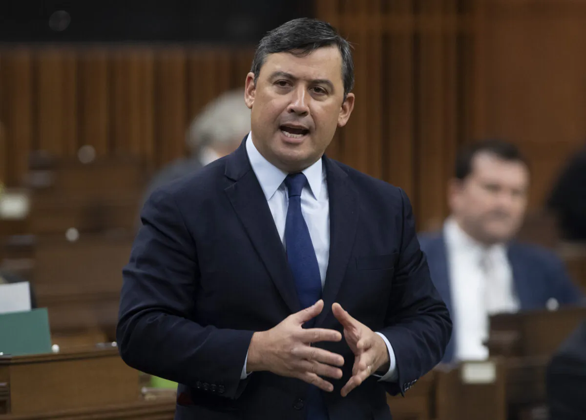Conservative MP Michael Chong rises during question period in the House of Commons in Ottawa on Nov. 19, 2020. (The Canadian Press/Adrian Wyld)