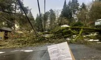 150,000 Without Power as Outages Persist in Oregon
