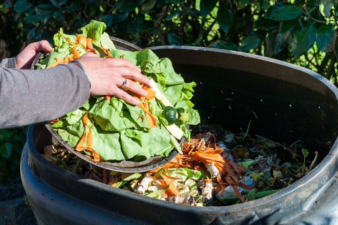 In the United States, 30 to 40 percent of the
food supply ends up wasted.(Pixavril/Shutterstock)