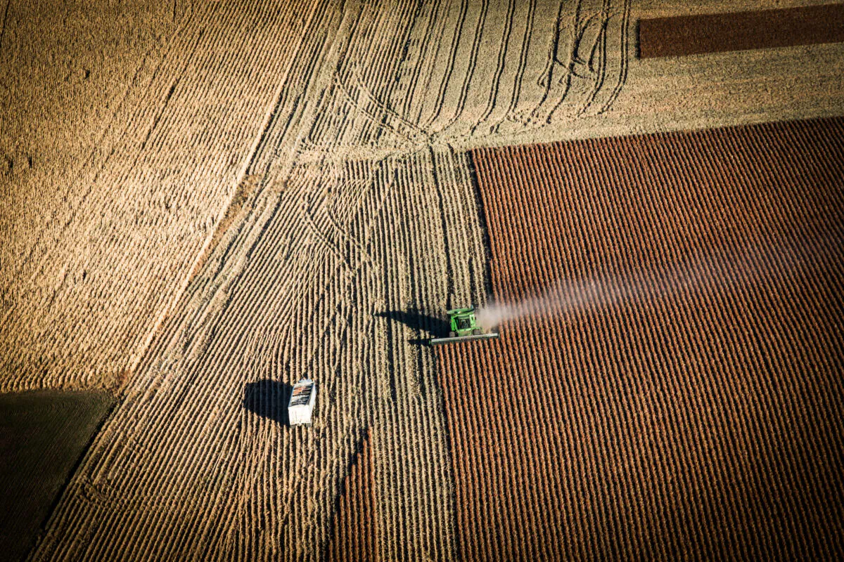 A farmer harvests crops near Presho, South Dakota, on Oct. 13, 2014. (Andrew Burton/Getty Images)