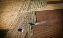 Judge Halts Debt Relief Program for Farmers of Color, Says It’s Likely Unconstitutional