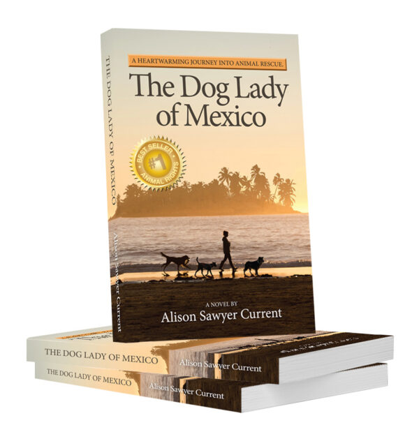 Book cover with best seller -dog lady of mexico