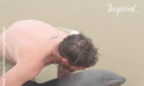 Man Saves Stranded Dolphin