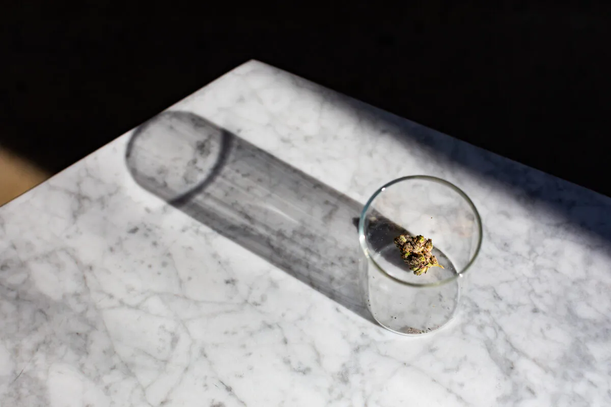 Catalyst Cannabis Company marijuana samples in Santa Ana, Calif., on Feb. 18, 2021. (John Fredricks/The Epoch Times)