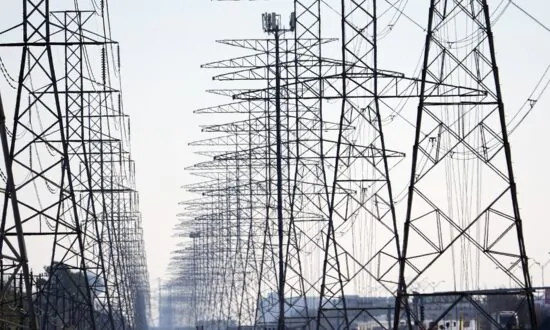 Texas Grid Operator Issues Winter Weather Watch Ahead of ‘Polar Vortex’
