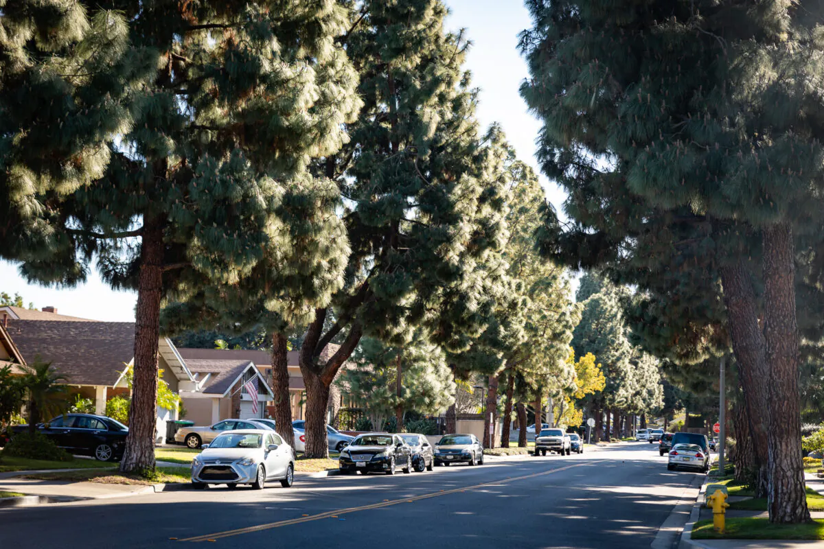 A file photo of a residential area in Tustin, Calif., on Feb. 22, 2021. (John Fredricks/The Epoch Times)