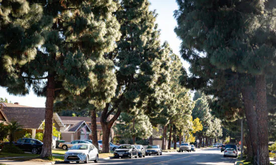 Tustin Named by Fortune as Best Place to Live for Families in California