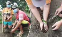 A Philippine City’s ‘Green Program’ Requires Marriage License Applicants to Plant Trees