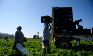 US Agriculture Is Under Attack