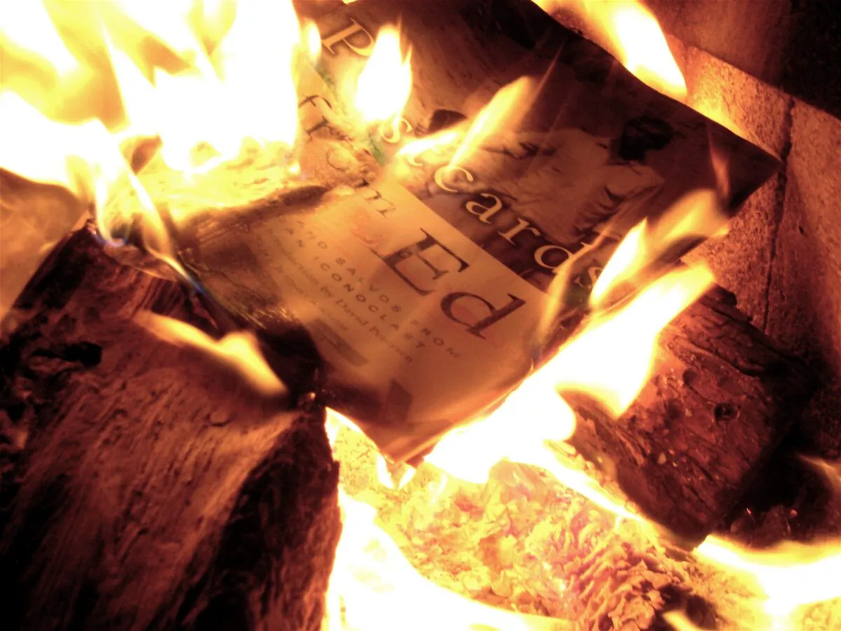 Book burning. (Allan Levine via Wikimedia Commons/CC by 2.0)