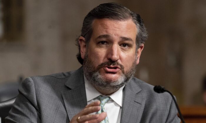 Sen. Ted Cruz (R-Texas) speaks at a Senate hearing on Capitol Hill in Washington on Feb. 23, 2021. (Andrew Harnik/AP Photo)