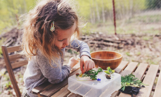 Should You Homeschool Next Year?