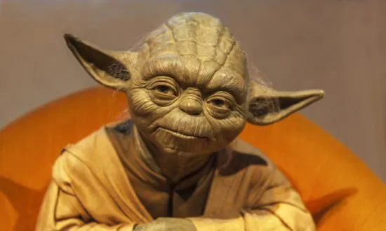 The Wisdom of a Jedi Master