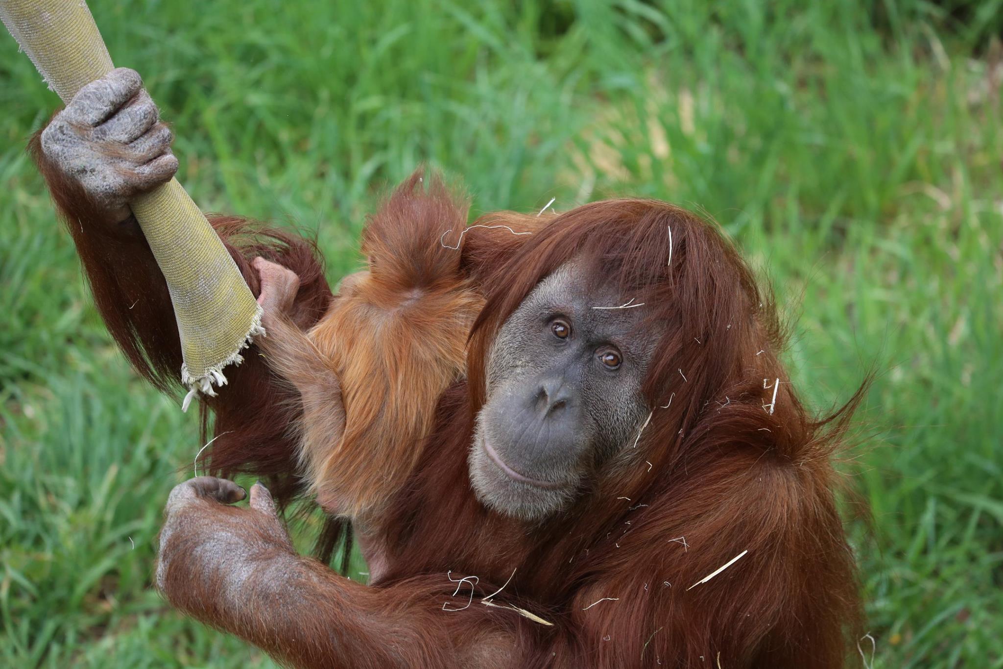 Epoch Times Photo