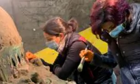 Archaeologists Uncover Ancient Ceremonial Carriage Near Pompeii