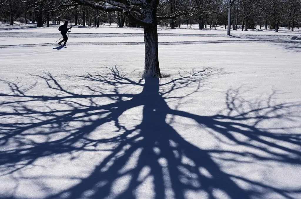 A cross-country skier glides along the banks of the Ottawa River in Ottawa on Feb. 25, 2021. Canadians across the country can look forward to a mild spring peppered with the odd winter flashback throughout the first part of the season, according to predictions from one prominent national forecaster. (Sean Kilpatrick/The Canadian Press)