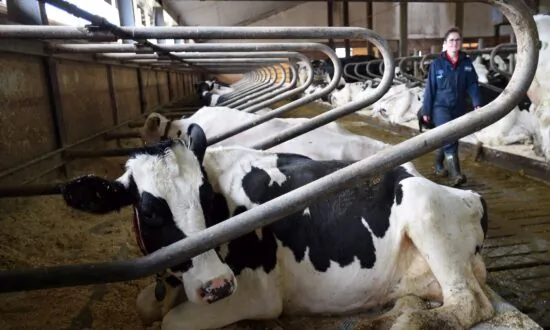 Growth-Boosting Trade Deals Need Better Competition Policy at Home