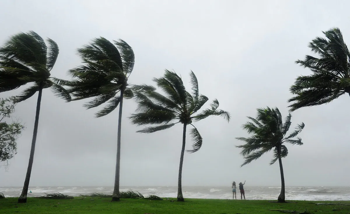 Cyclone Niran could intensify over the following two days. (Ian Hitchcock/Getty Images)