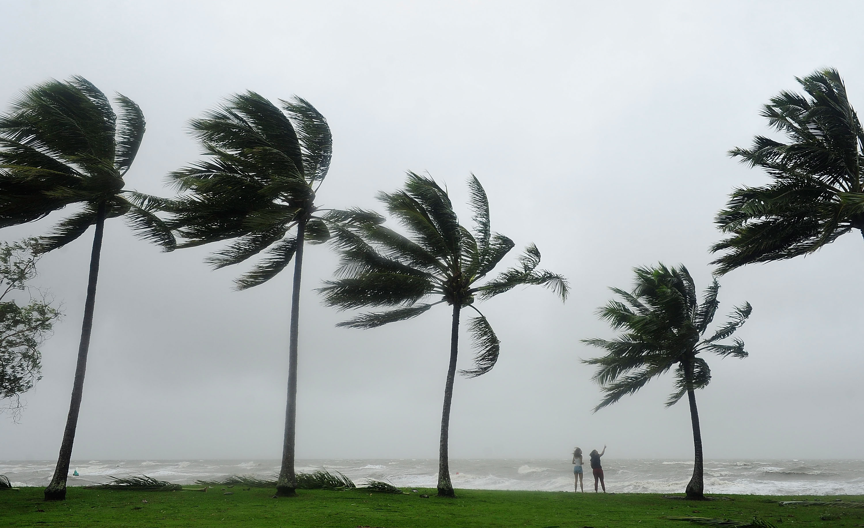 Gales Possible For North Queensland Coast as Cyclone Niran Intensifies - Vimarsana News