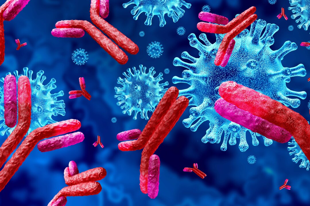 Our body developes antibodies in a process that is more effective and targeted than the random mutations of a virus. (Lightspring/Shutterstock)
